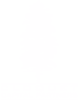 Cloquet Capital